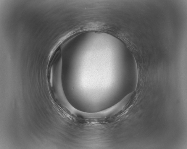 X0000052650244200507082039