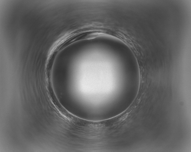 X0000052650245200507082039