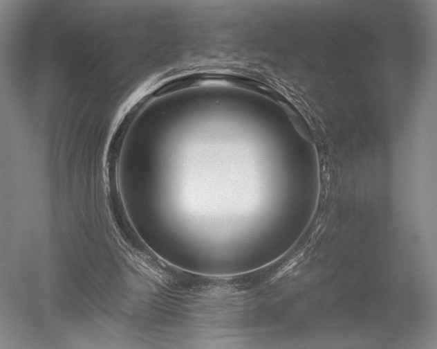 X0000052650246200507082039