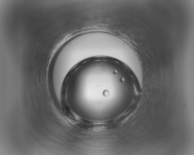 X0000052650248200507082039
