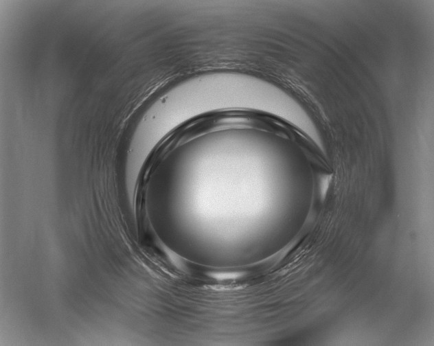 X0000052650251200507082039
