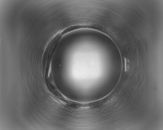 X0000052650252200507082039