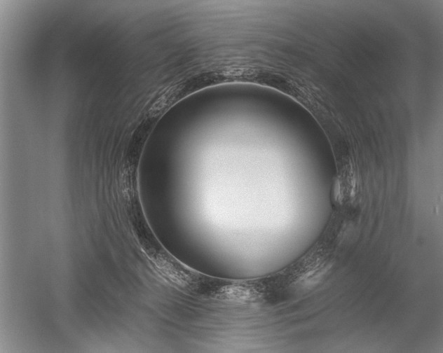 X0000052650272200507082039