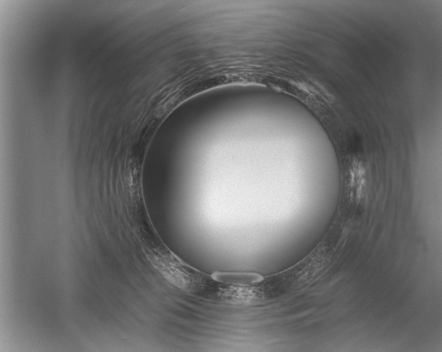 X0000052650276200507082040