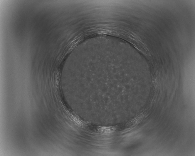 X0000052650277200507082040