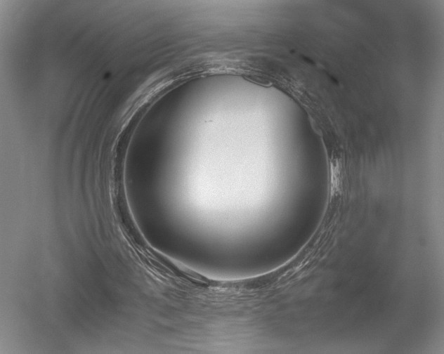 X0000052650291200507082039