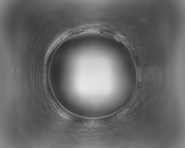 X0000052650293200507082039