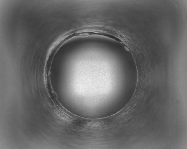 X0000052650294200507082039