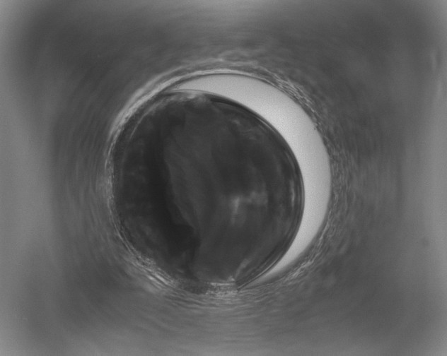 X0000052650295200507082039
