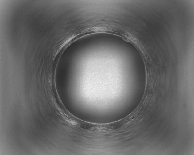 X0000052650297200507082039