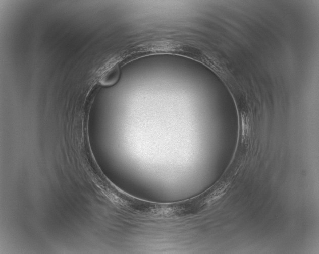 X0000052650301200507082039
