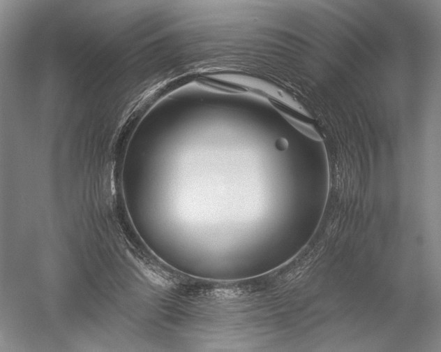 X0000052650302200507082039