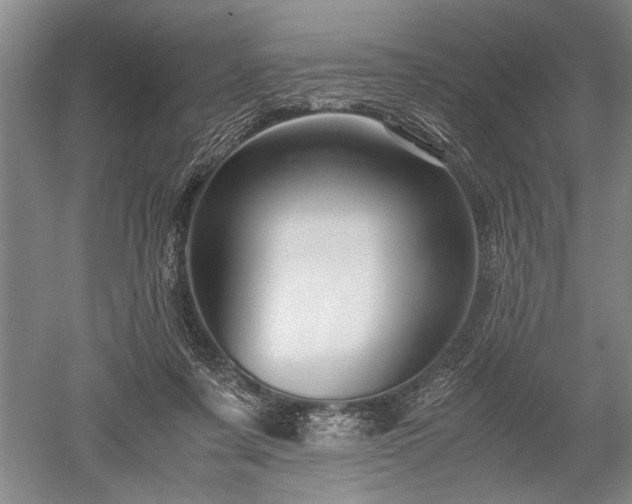 X0000052650311200507082039