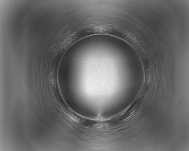 X0000052650317200507082038