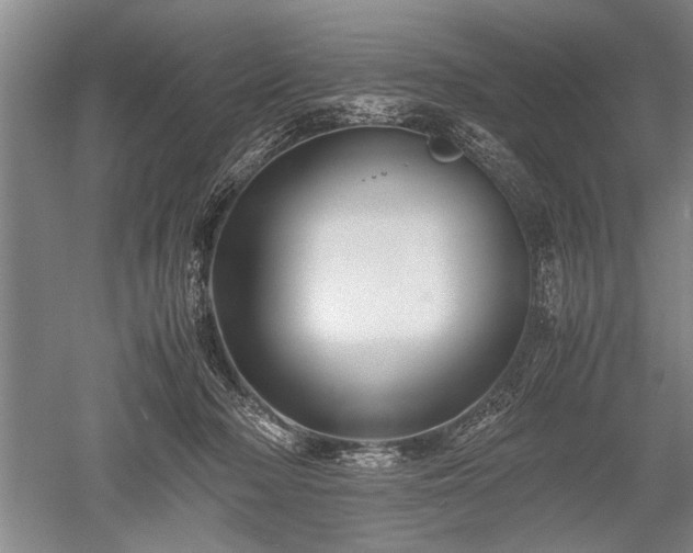 X0000052650318200507082038
