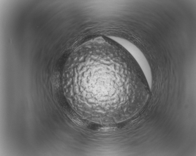 X0000052650323200507082038