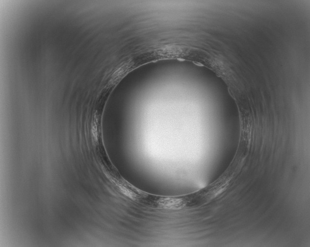 X0000052650334200507082038