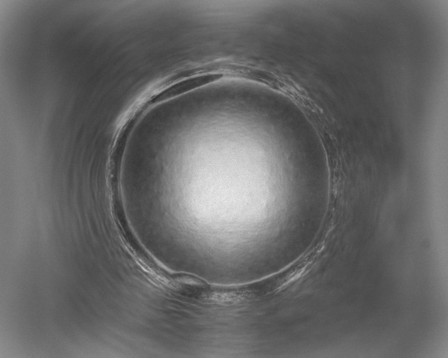 X0000052650341200507082037