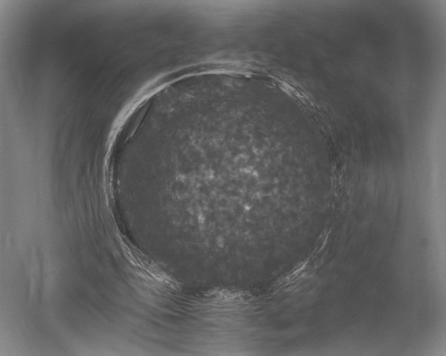 X0000052650343200507082037