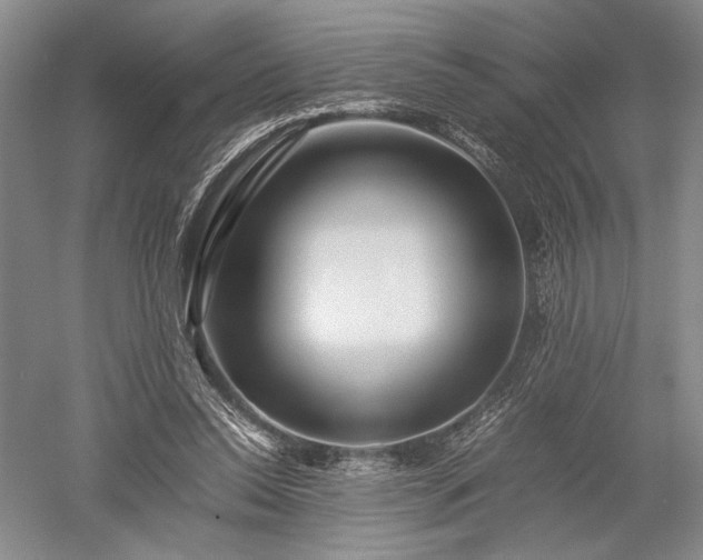 X0000052650350200507082038