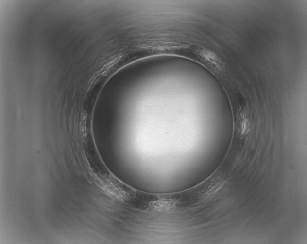 X0000052650356200507082038