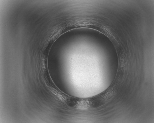 X0000052650362200507082038