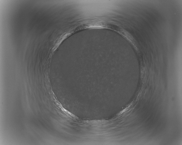 X0000052650385200507082037