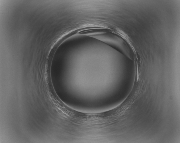 X0000052650387200507082037