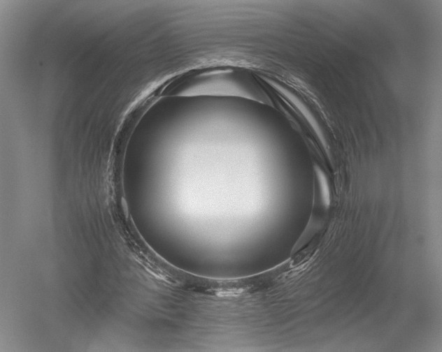 X0000052650388200507082037