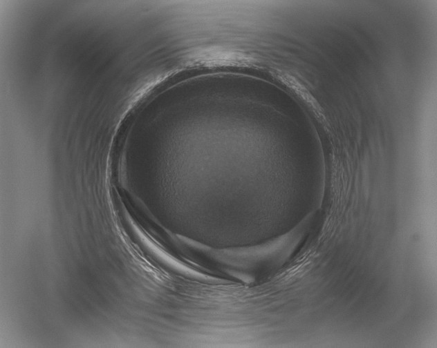 X0000052650391200507082037