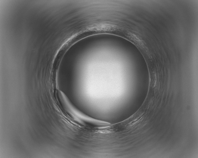 X0000052650392200507082037