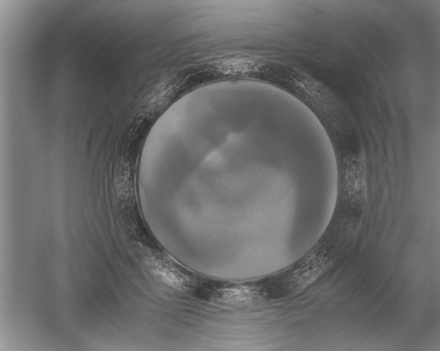 X0000052650411200507082037