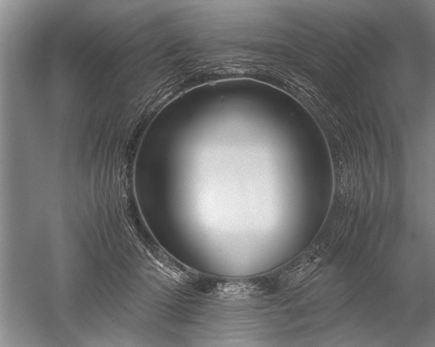 X0000052650414200507082037