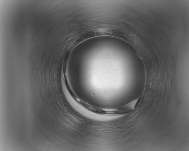 X0000052650420200507082037