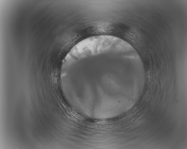 X0000052650423200507082037
