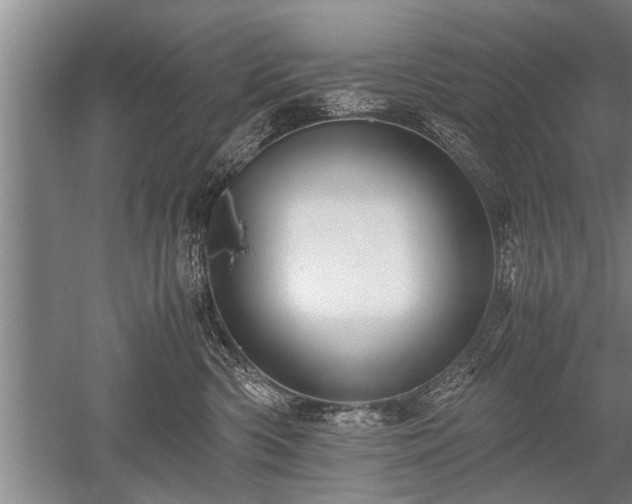 X0000052650426200507082037