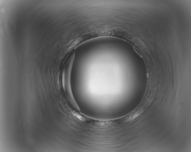 X0000052650432200507082036