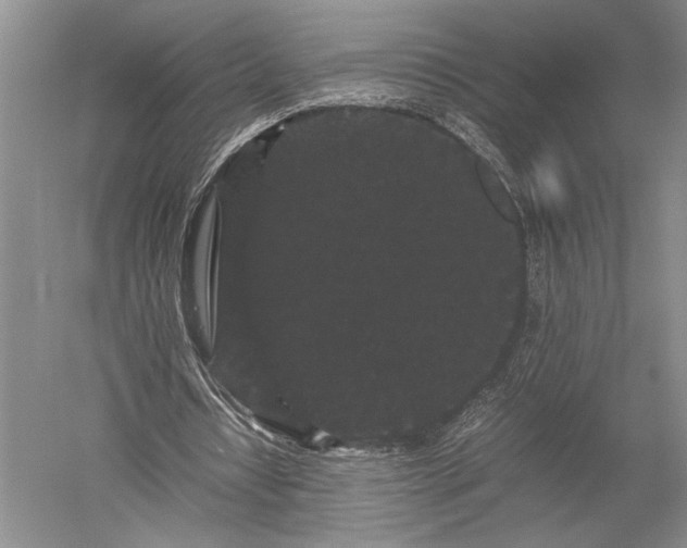 X0000052650434200507082036