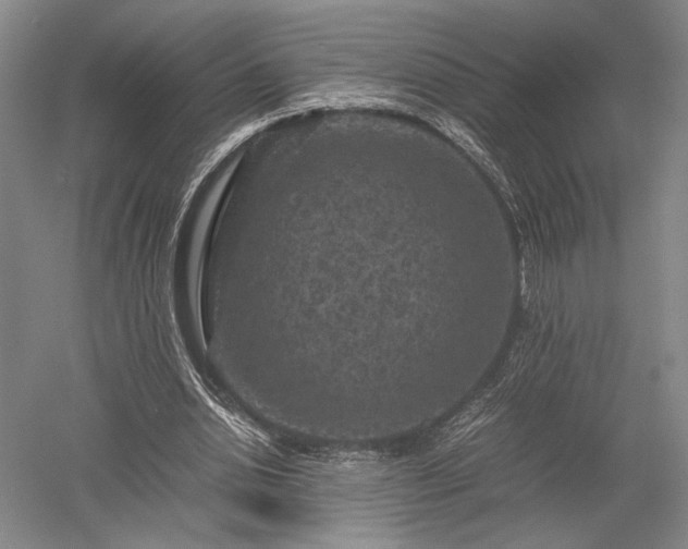 X0000052650438200507082036