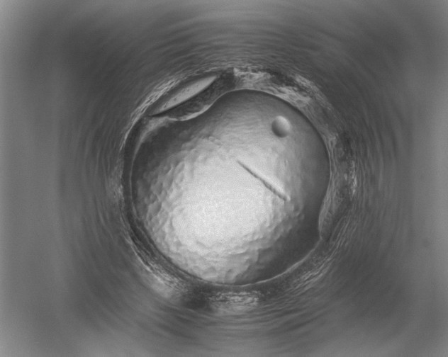 X0000052650443200507082036