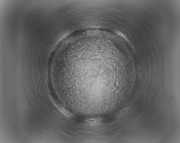 X0000052650447200507082036