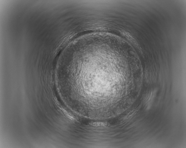 X0000052650449200507082036