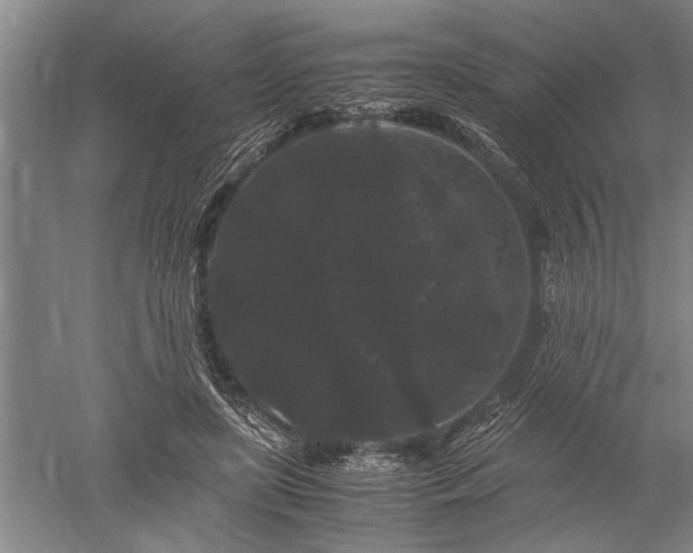 X0000052650451200507082036