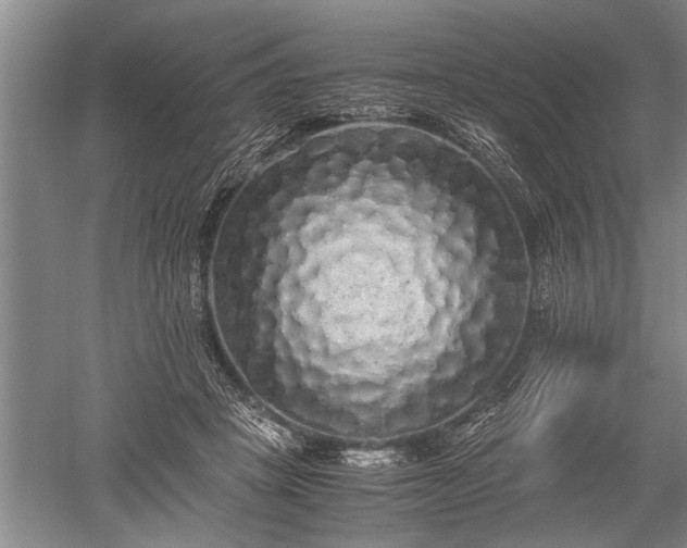 X0000052650457200507082036