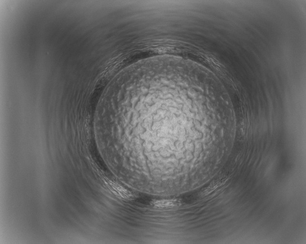 X0000052650461200507082036