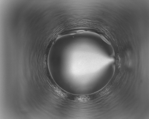 X0000052650466200507082036