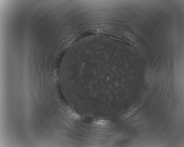 X0000052650467200507082036