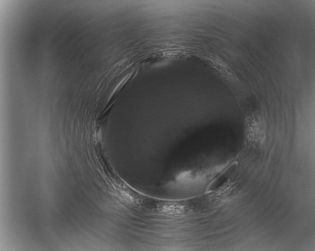 X0000052650471200507082036