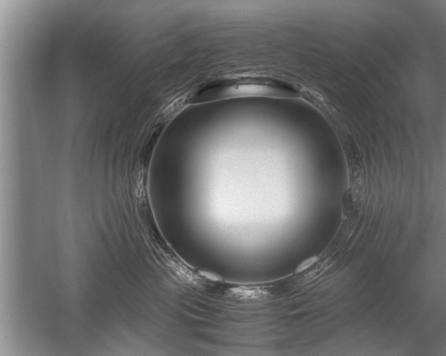 X0000052650477200507082036