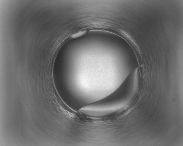 X0000052650481200507082036